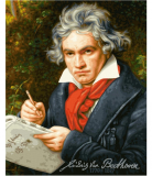 Ludwig van Beethoven (40 x 50 cm) Schipper