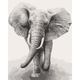 Slon africký 40x50cm, Art Craft - vypnuté plátno na rám