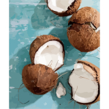 Kokosový ořech 40x50cm, Art Craft - vypnuté plátno na rám