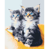 Modrooká koťata 40x50cm, Art Craft - vypnuté plátno na rám