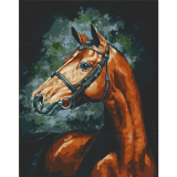 Hrdý kůň 40x50cm, Art Craft - vypnuté plátno na rám