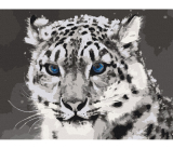 Sněžný leopard 40x50cm, Art Craft - vypnuté plátno na rám