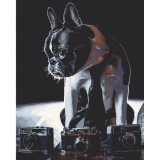 Stydlivý fotograf 40x50cm, Art Craft - vypnuté plátno na rám