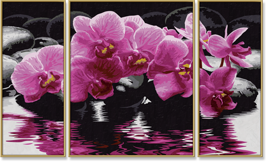 Orchideje (50 x 80 cm)