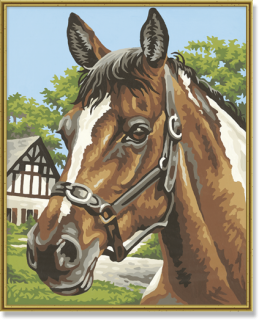 Portrét koně (24 x 30 cm)