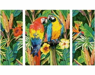 Papoušci v deštném pralese (50 x 80 cm)