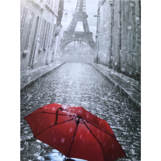 Deštník v Paříži 40x50cm, Art Craft - vypnuté plátno na rám