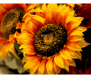 Květ slunečnice 40x50cm, Art Craft - vypnuté plátno na rám
