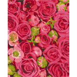 Růže 40x50cm, Art Craft - vypnuté plátno na rám