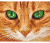 Zelené oči 40x50cm, Art Craft - vypnuté plátno na rám
